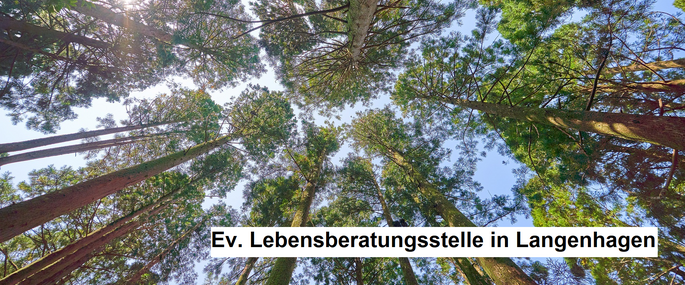 Bild von Simon Alpha auf Pixabay